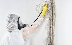 Best Comprehensive Air Testing for Mold Contaminants  in Pegram, TN